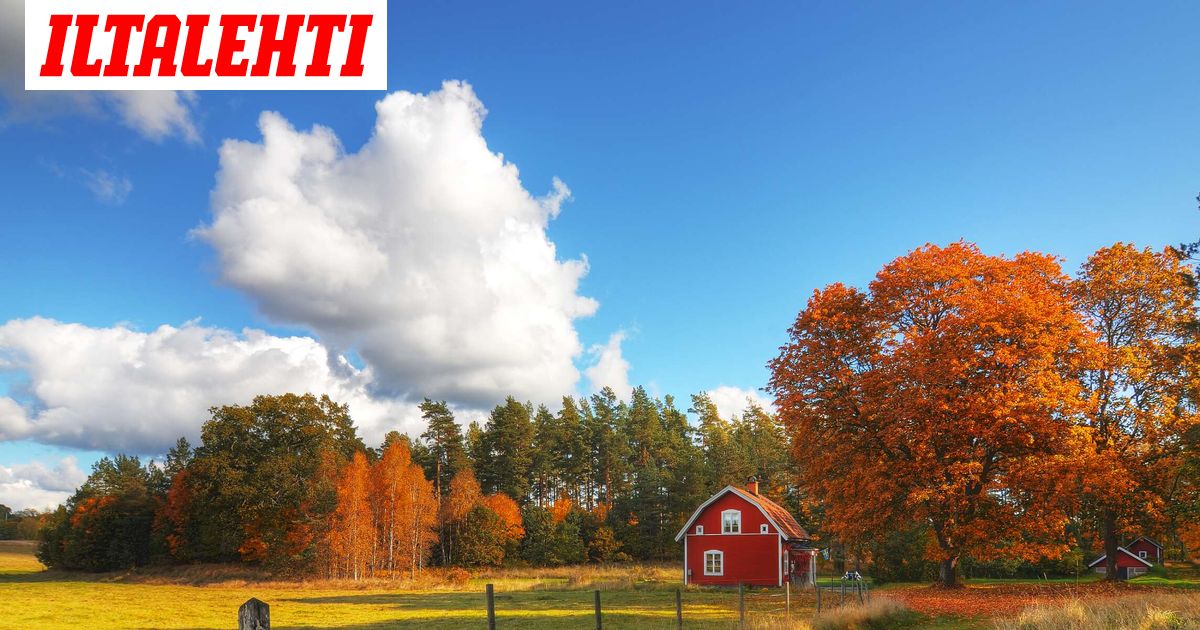 Commercial cooperation Nettimökki: Fall holidays and autumn are calling: introducing 40 new rental cabin properties
