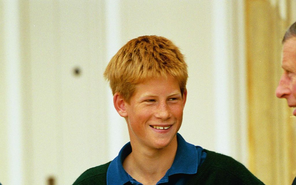 Näytätkö nuorelta prinssi Harrylta? The Crown etsii näyttelijää