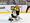 Boston Bruinsin maalivahti Tuukka Rask torjui kaiken New York Islandersin vieraana.