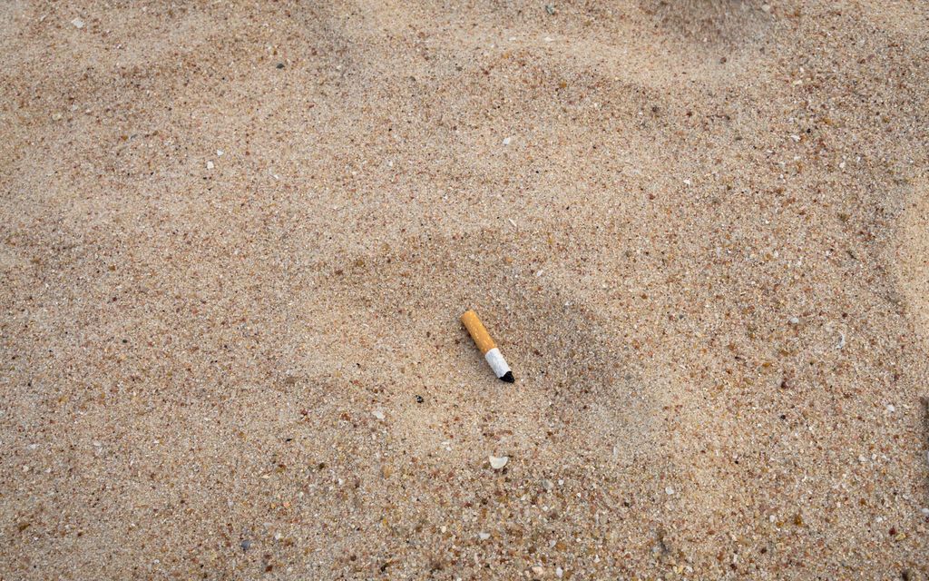 HS: 8-viikkoinen koiranpentu kuoli tupakan­tumppiin