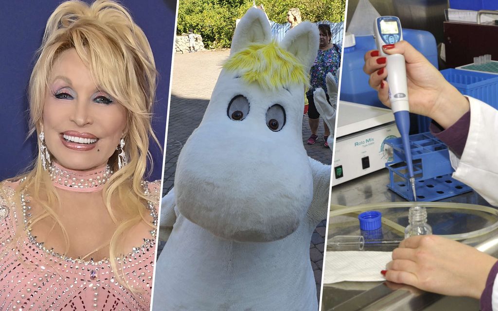 Totta vai tarua? Nämä kymmenen väitettä haastavat fiksuimmankin neropatin