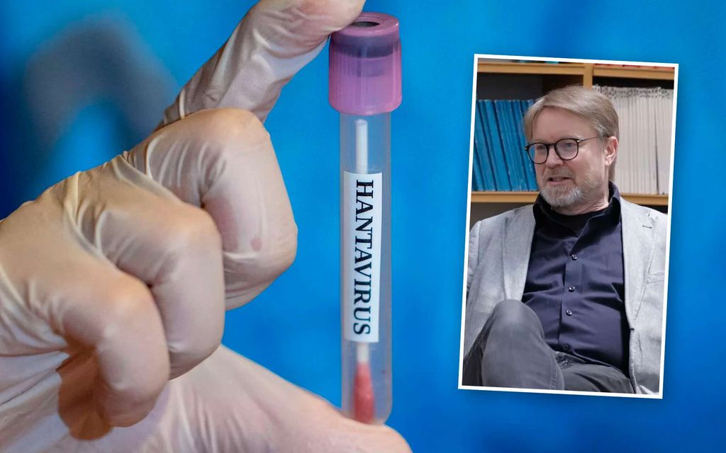 Asiantuntija: Suomi on hantavirus­tapausten kärkimaa maailmassa – Tässä syy