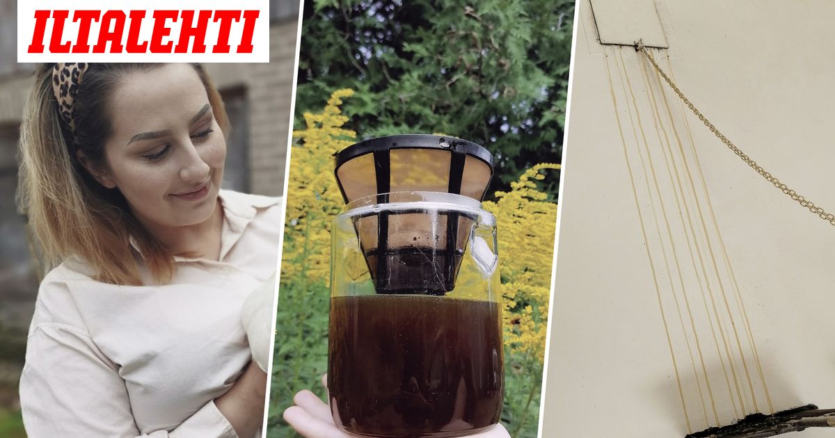 Laura, 26, yritti häätää "ampiaiset" puuhellaa lämmittämällä - Vimarsana News