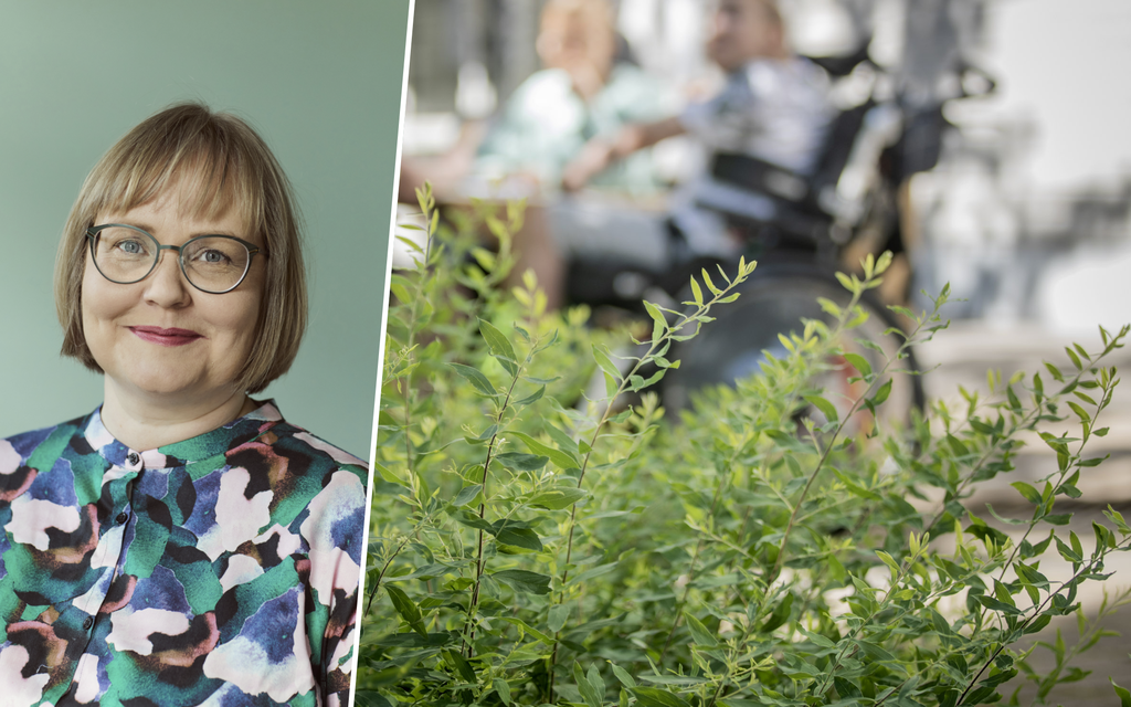 Tutkijalta karu arvio leikkurista: ”Ääni hiljenee”