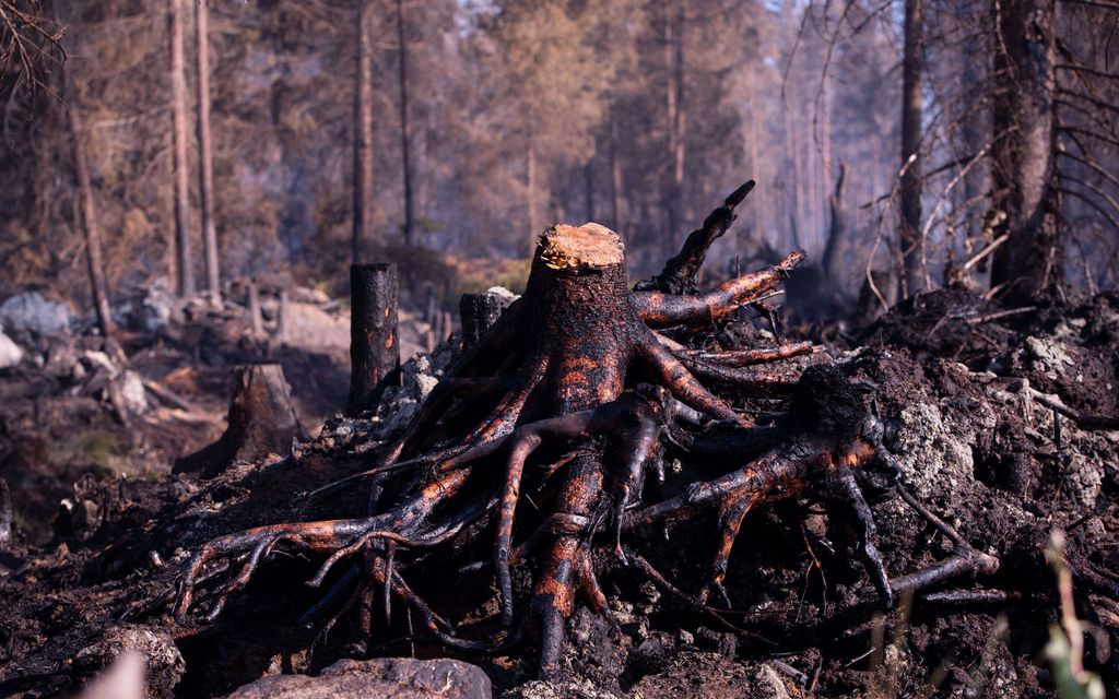 Suomi ilmiliekeissä