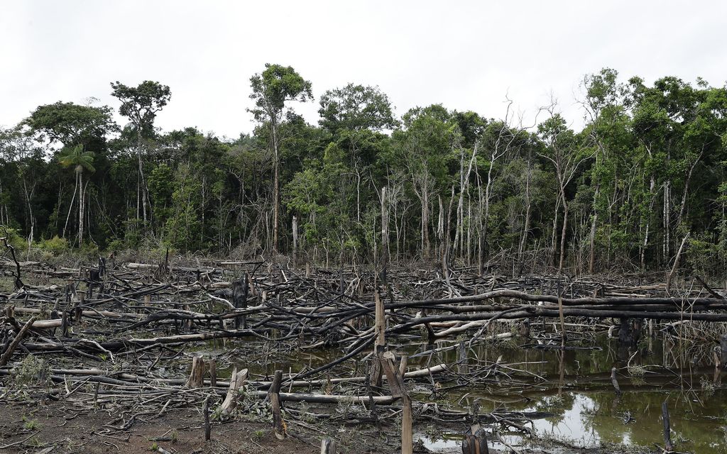 Amazonin sademetsä lähestyy pistettä, jonka jälkeen tuhoa ei voi enää pysäyttää, varoittavat tutkijat