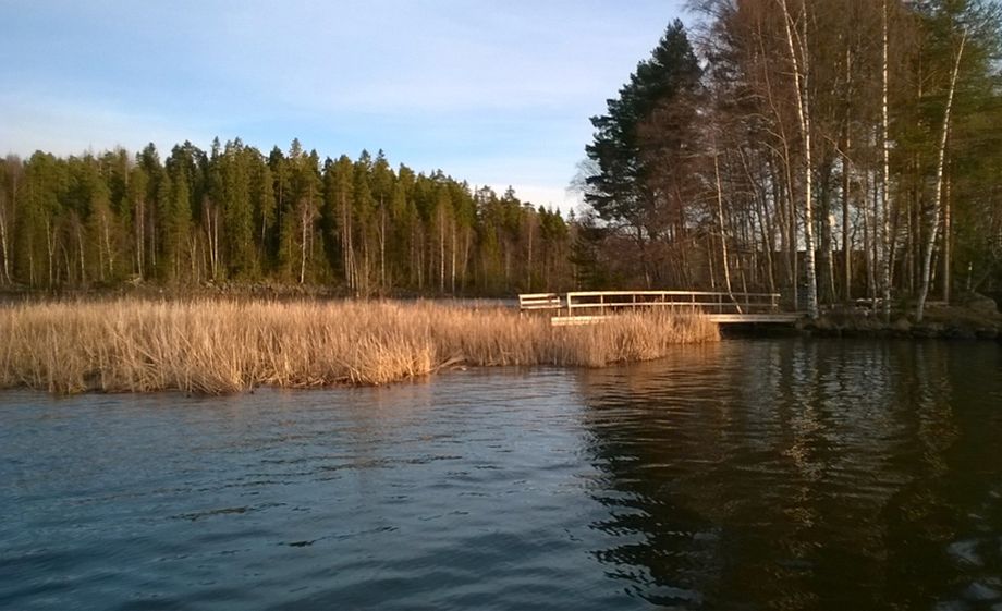 Seikkaileva saari ihmetyttää - onko tässä selitys?