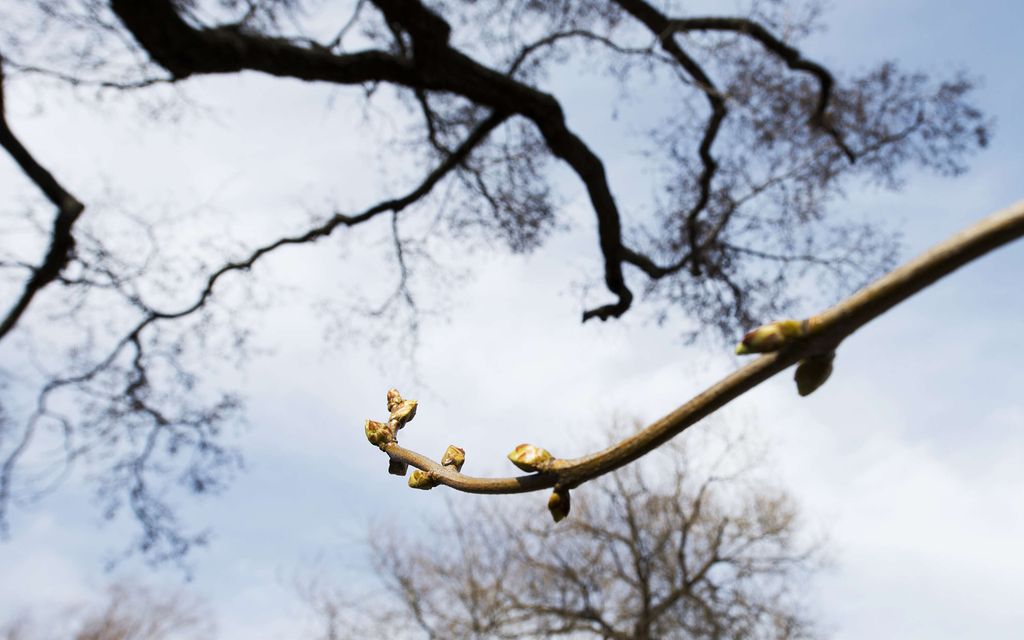 Pääsiäis­viikonlopun säässä voi muhia yllätys – Ennuste muuttui ääripäästä toiseen