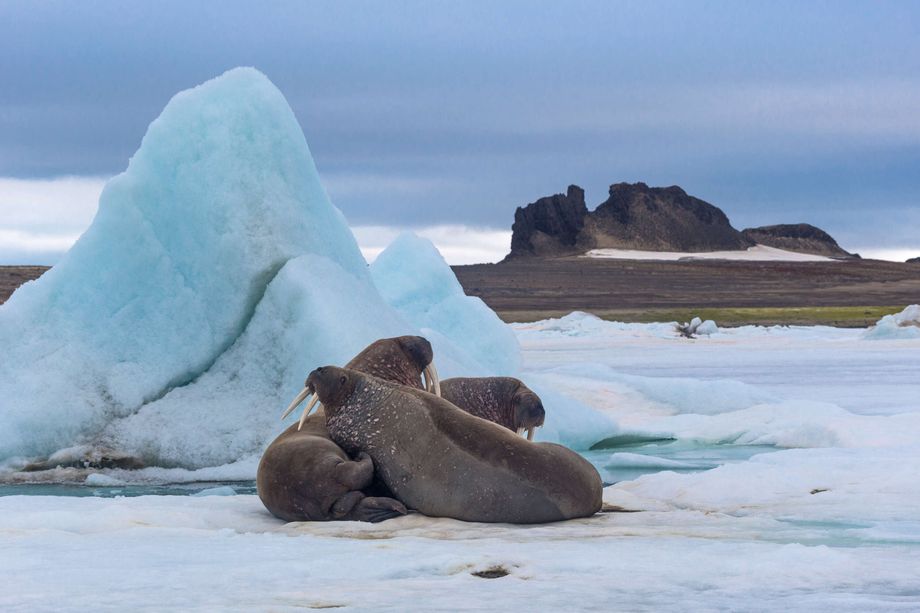 An island disappeared from Russia
 –