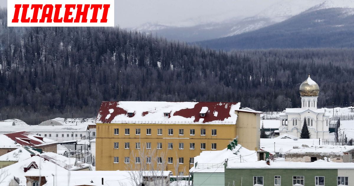 www.iltalehti.fi