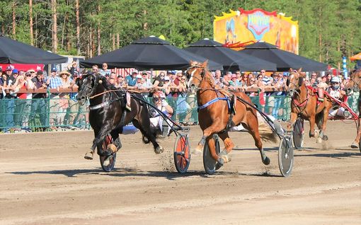 Härmäläinen Pekka halusi rakentaa oman raviradan – nyt hänen kilpailussaan juoksevat maailman parhaat hevoset