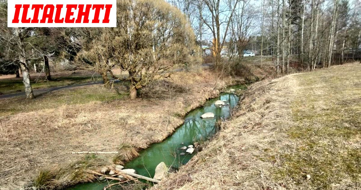 www.iltalehti.fi