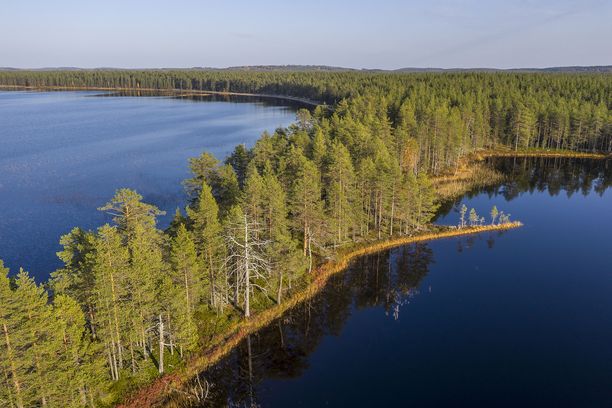 Suomunjärvi ilmasta käsin nähtynä.