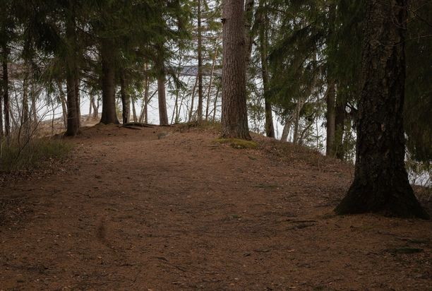 Bodominjärven murhaniemi kaivetaan jälleen auki – tällä kertaa haetaan  merkkejä myöhemmistä kävijöistä: ”Murha jäänee edelleen mysteeriksi”