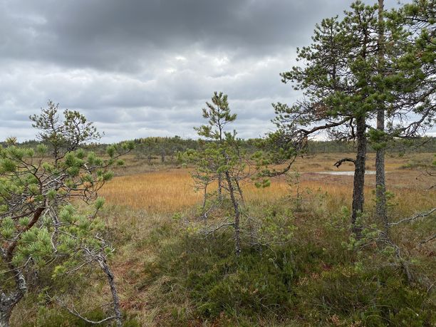 Valkmusan viehätys piilee avarassa maisemassa.