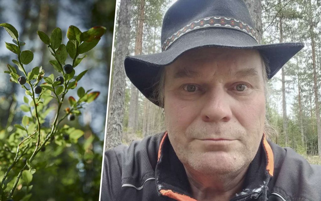 Mustikka-Pentti, 59, jyrähtää thai­poimijoiden tulosta Suomeen