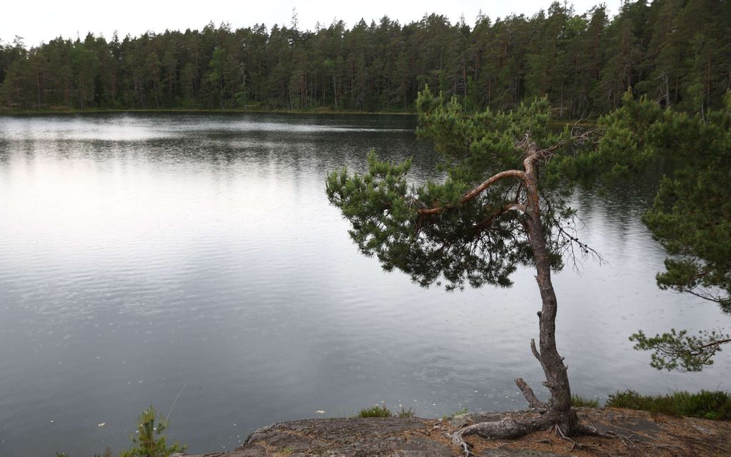 Lohduton tieto Raaseporin hukkumis­turmasta