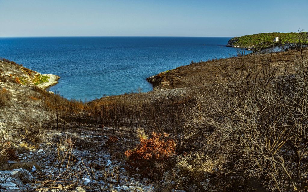 Meteorologi varoittaa: Maapallon säähän voi tulla pelätty käänne – Vaikuttaisi Suomeen 
