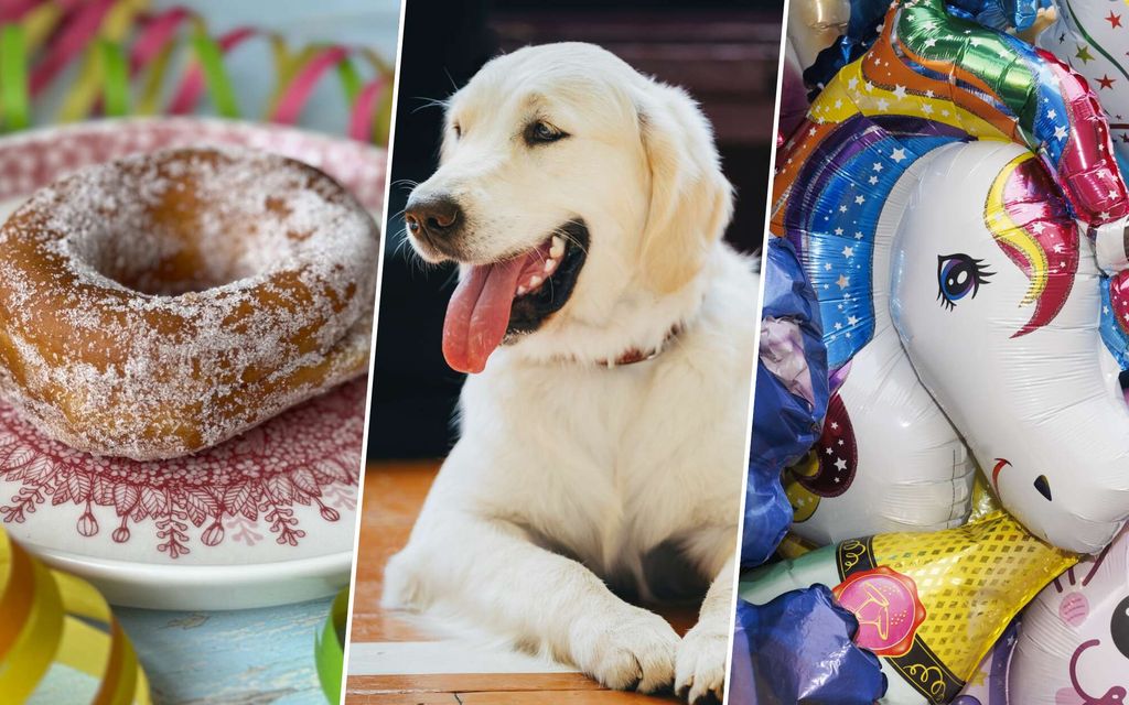 Älä tee tätä virhettä vappuna – Se voi tappaa koirasi