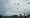 Pilvet tuovat mukanaan sadekuuroja pääkaupunkiseudulle ja Uudellemaalle. 
