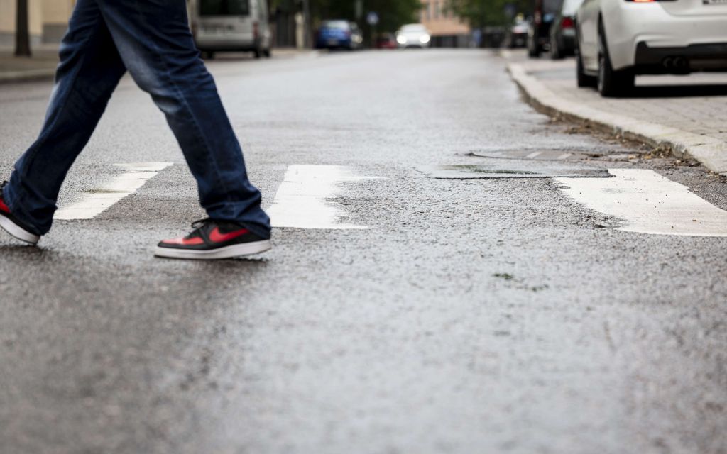 Kadonneet serkukset piileskelivät saunassa – Eivät kehdanneet palata kotiin
