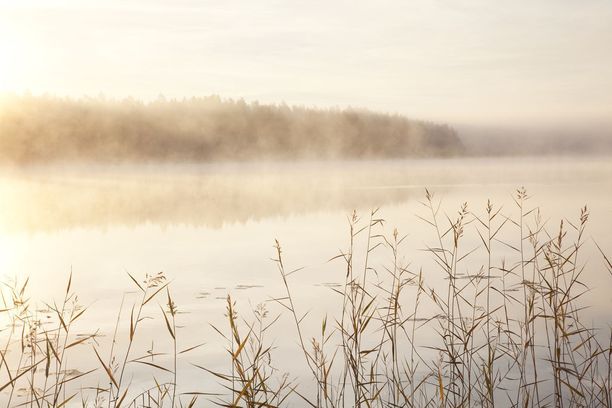 Tea Karvinen kiersi kaikki Suomen kansallispuistot
