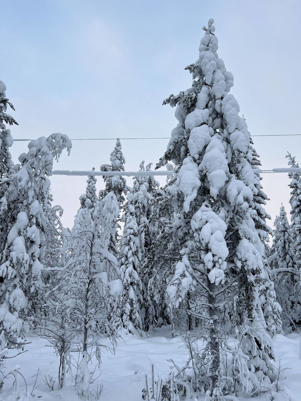Sähkökatkoja korjattu yötä myöten Itä-Suomessa: ”Kun päivä valkenee, aloitamme helikopteri­lennot”
