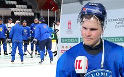 Leijonien tavoite