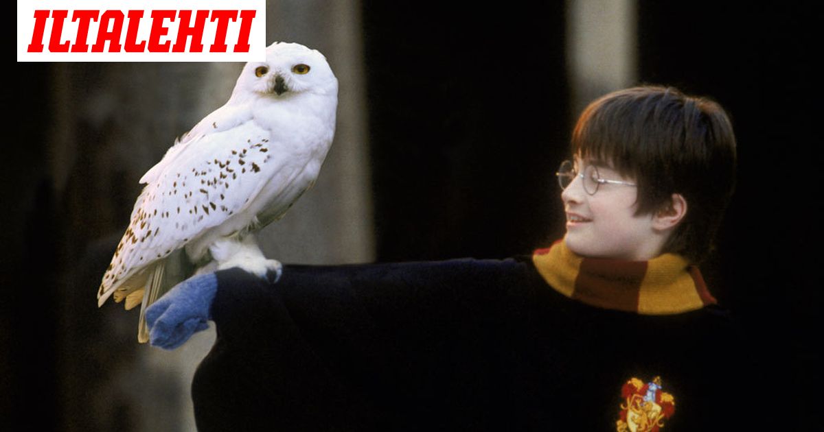 Harry potter ja viisasten kivi elokuva uutena el myksen 