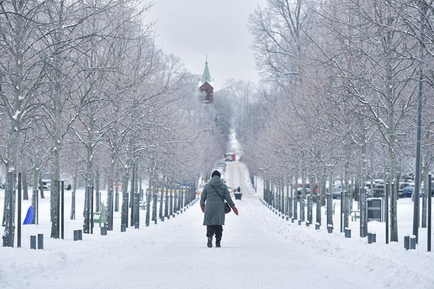 Marraskuun viimeisen viikon sää