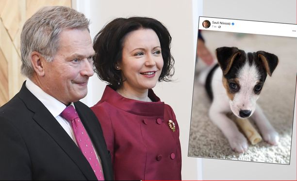 Tasavallan presidentti Sauli Niinistö ja rouva Jenni Haukio hankkivat uuden koiranpennun.