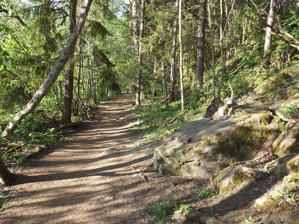 Katariinanlaakso on hyvä retkikohde Turussa.