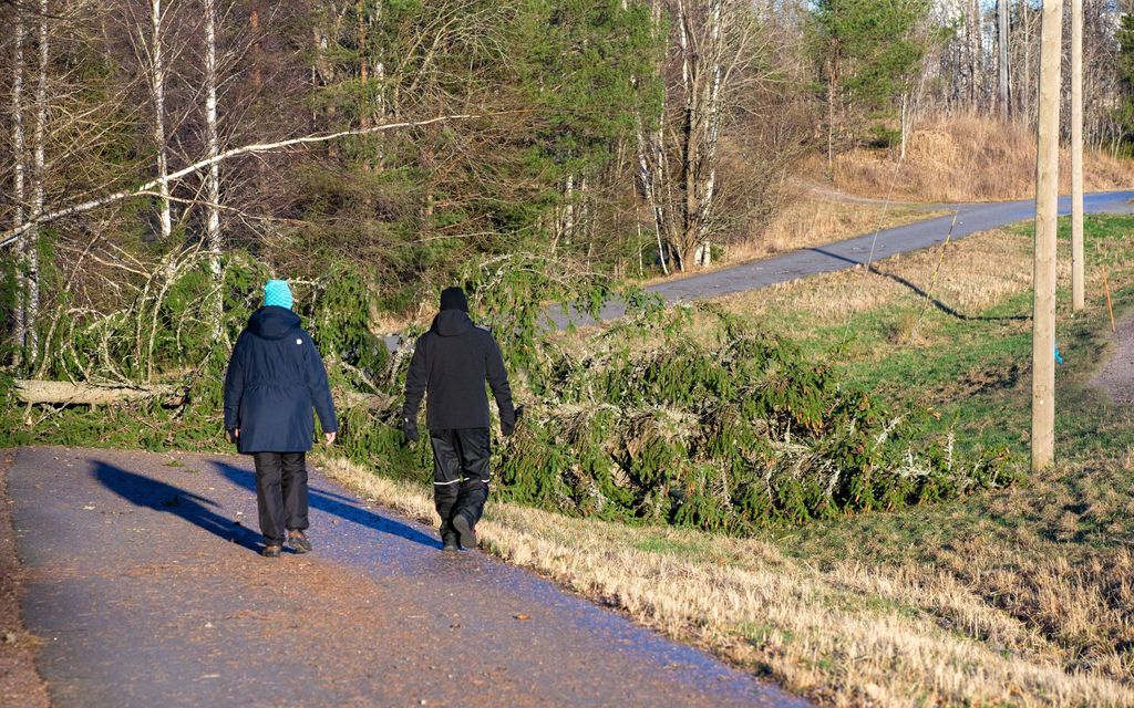 Myrsky iskee tänään – Jos unohdat nämä pihalle, se voi käydä todella kalliiksi