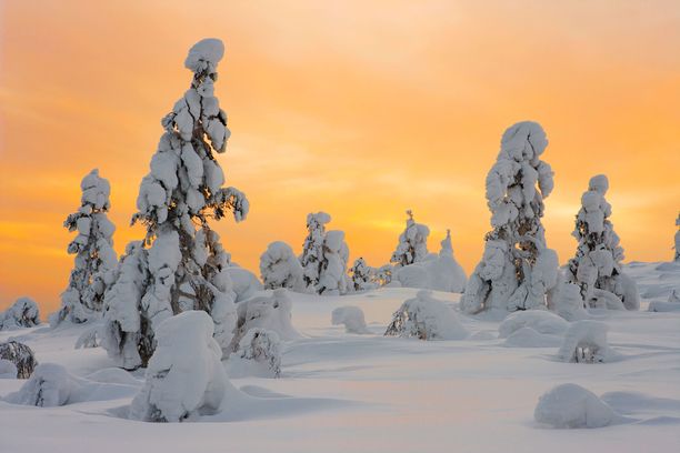 Ylläksen maisemat ihastuttavat talvellakin.
