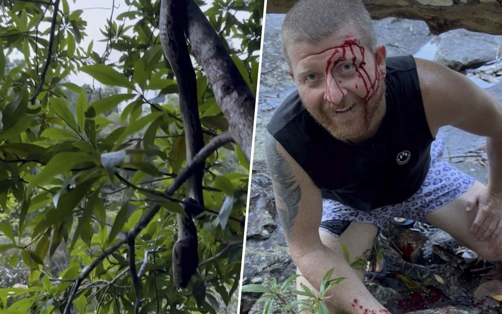Australialais­mies meni liian lähelle pytonia – Kohtaamisella verinen lopputulos
