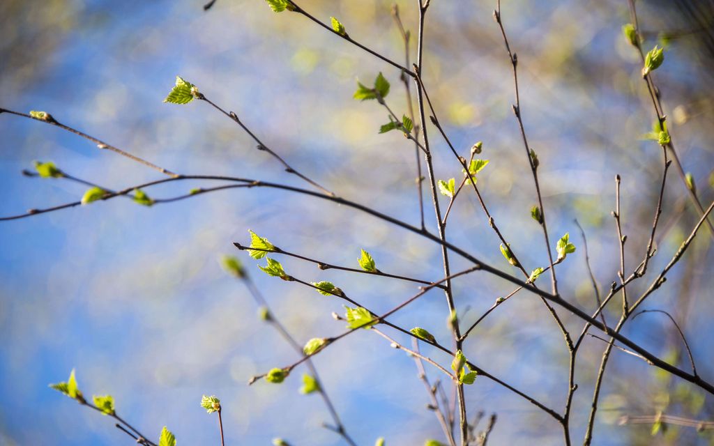 Näin lämmin on pääsiäinen
