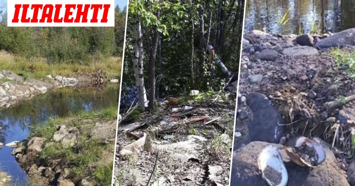 www.iltalehti.fi