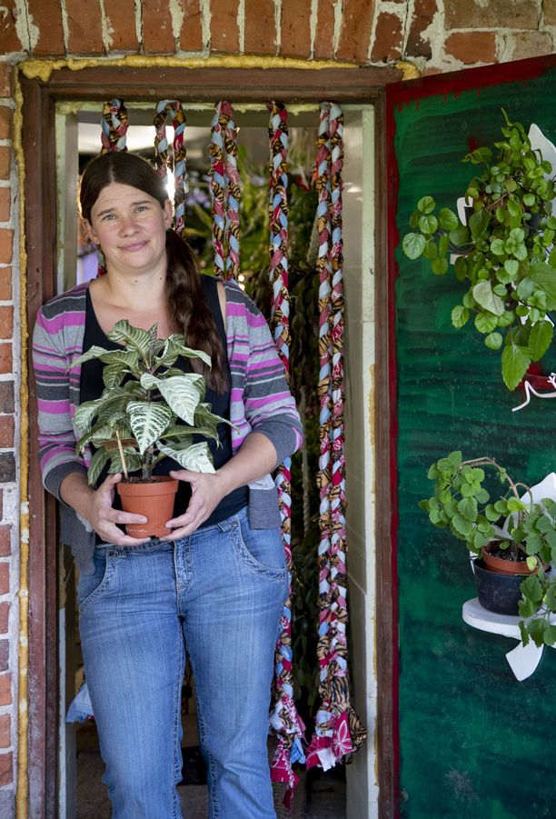 Kasviharrastaja Sini Uotisella, 37, on noin 4000 kasvia. Käsissä hänellä on kuvassa Leopoldinkukka, ovessa liisukoita.