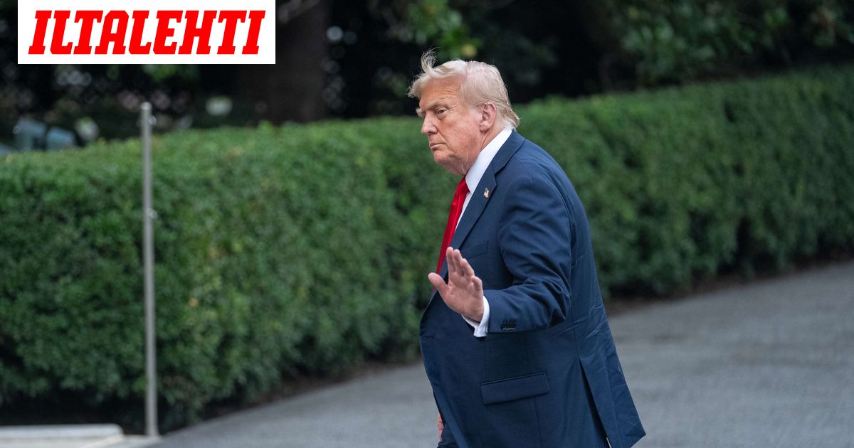 www.iltalehti.fi