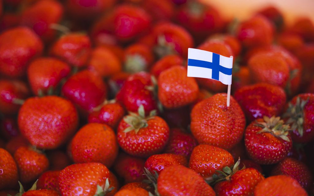Ryhtiliike S-ryhmältä ja Keskolta – Selvitys: Marja-alalla e