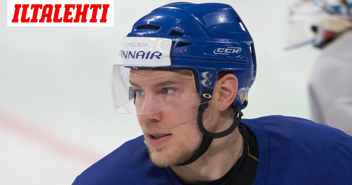 Leijonista tuttu järkälepakki siirtyy Ruotsiin