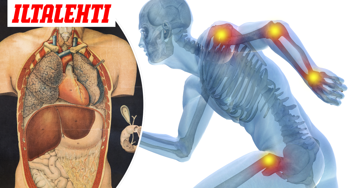 Tunnetko ihmisen anatomian? 10/10-tulosta ei helpolla heru