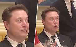 Elon Musk ilmeili oudosti 