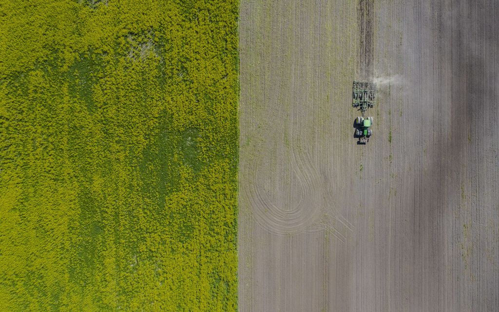 Asiantuntija: Ruoan hinta voi nousta vieläkin kalliimmaksi – Taustalla synkkä ketjureaktio