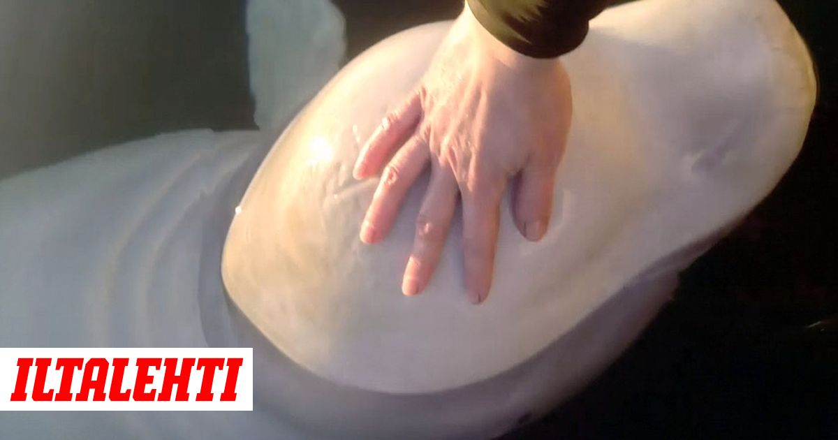 teini lesbot putketGlee porno