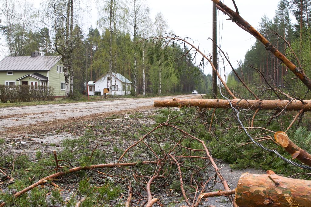 Pohjois-Savossa osa saa huomenna lakin muttei sähköä – Myrskytuulet katkoneet sähköt jopa 24 000 taloudelta