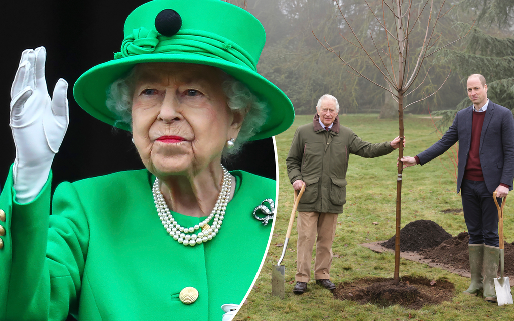Kuningatar Elisabetin muistolle on istutettu jo kolme miljoonaa puuta – Myös Charles ja William ahkeroivat puutarhassa 