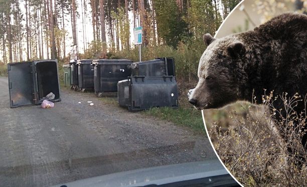 Tällaista jälkeä jätti karhu jälkeensä, kun se haki ruokaa roskalaatikoista Kuhmoisissa.