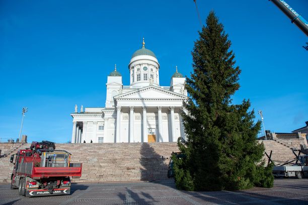 Nyt Helsingin Senaatintoria koristaa joulukuusi. Valot kuusi saa ennen viikonloppua.
