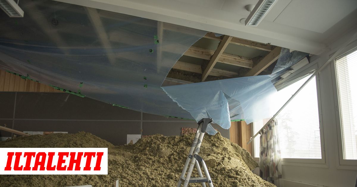 Lisa Ann porno tähti